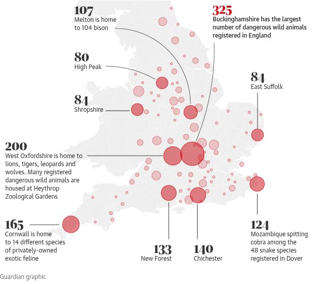 Guardian infographic mapping dangerous wild animals registered with English councils.